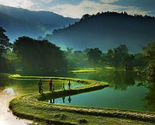 taiping-lake-gardens