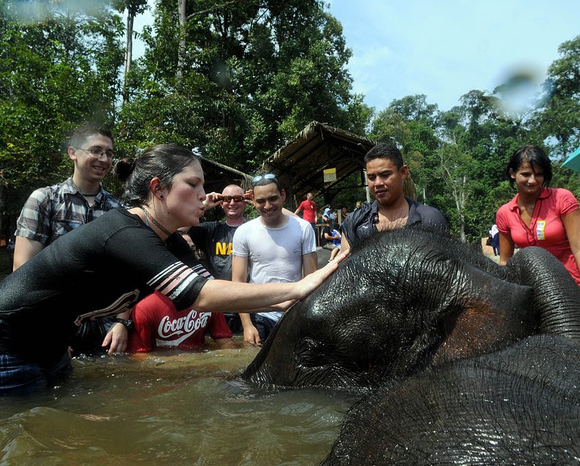 car rental in kuala lumpur kuala gandah elephant sanctuary